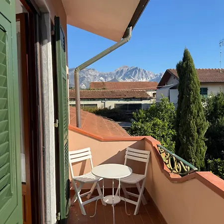 Joe's Carrara